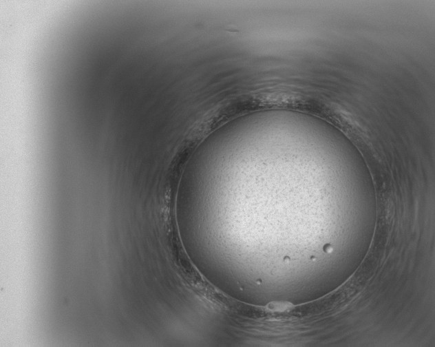 X0000072500737200607290105