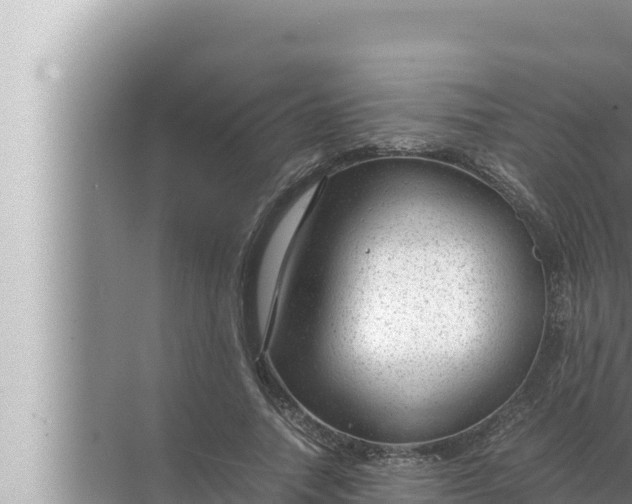 X0000072500738200607290105