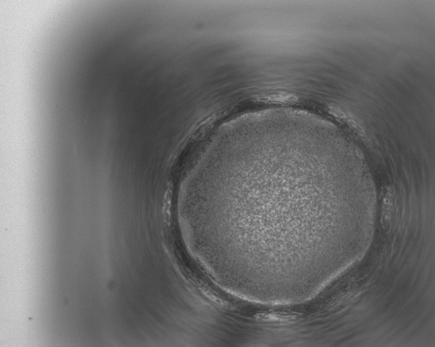 X0000072500739200607290105