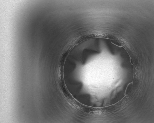 X0000072500740200607290105