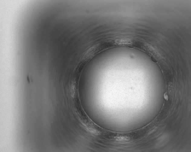 X0000072500741200607290105