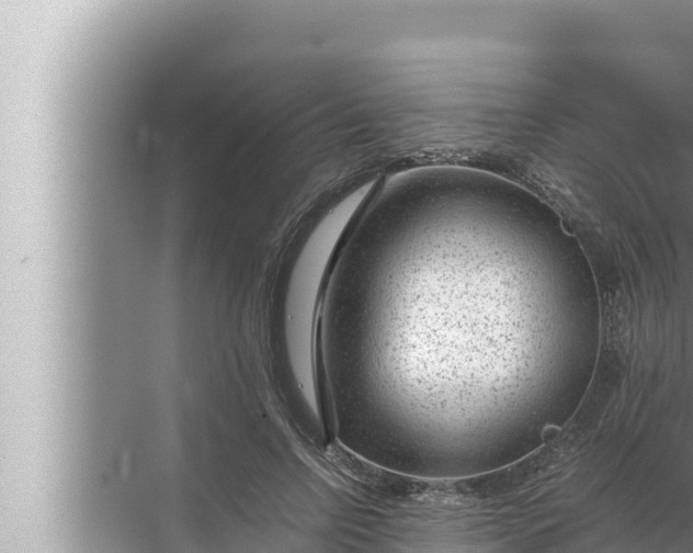 X0000072500742200607290105