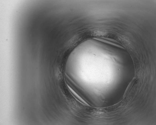 X0000072500743200607290105