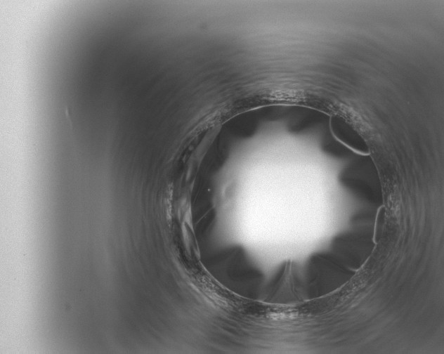 X0000072500744200607290105