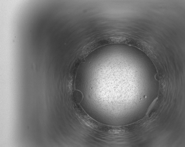 X0000072500745200607290105