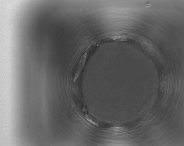 X0000072500748200607290105