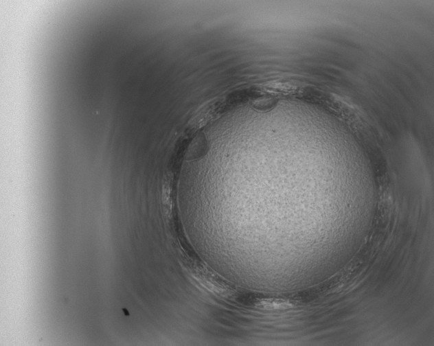 X0000072500749200607290105