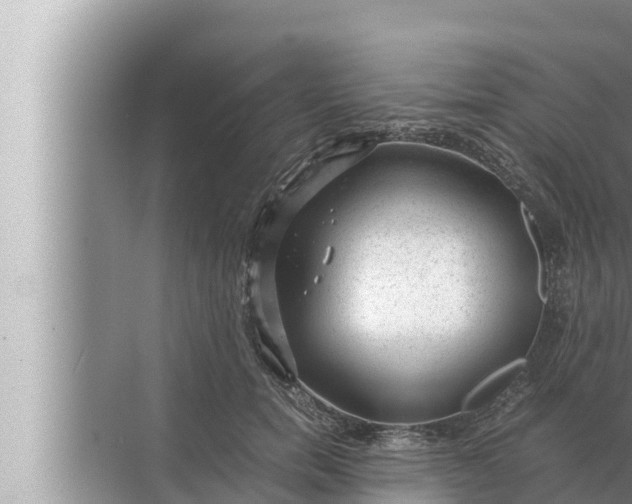 X0000072500750200607290105