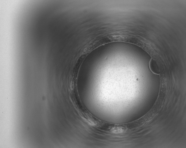 X0000072500751200607290105