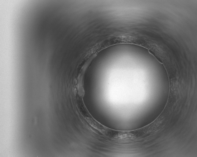 X0000072500752200607290105