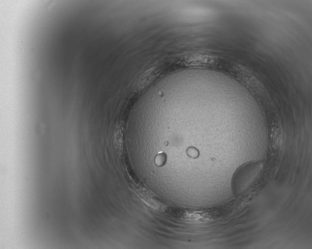 X0000072500753200607290105