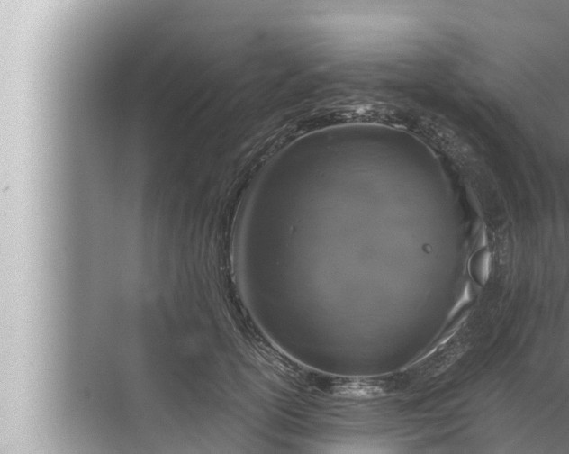 X0000072500754200607290105