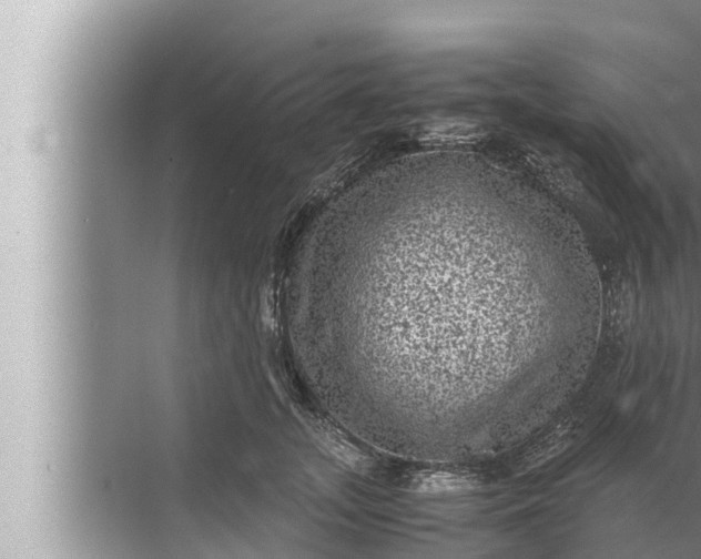 X0000072500755200607290105