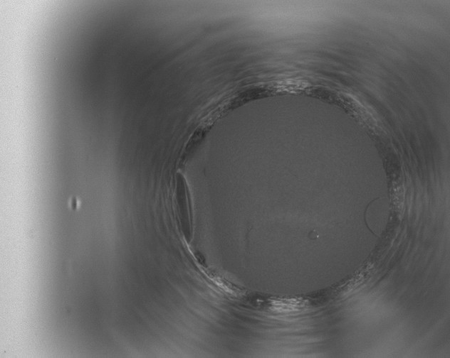 X0000072500757200607290105