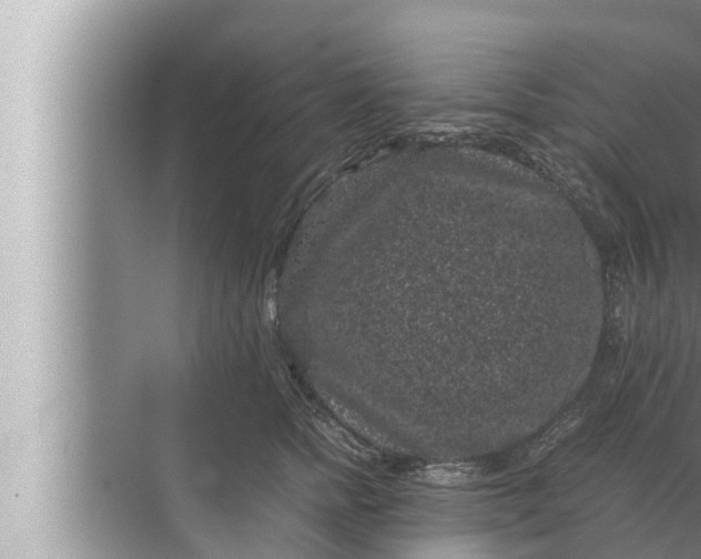 X0000072500758200607290105