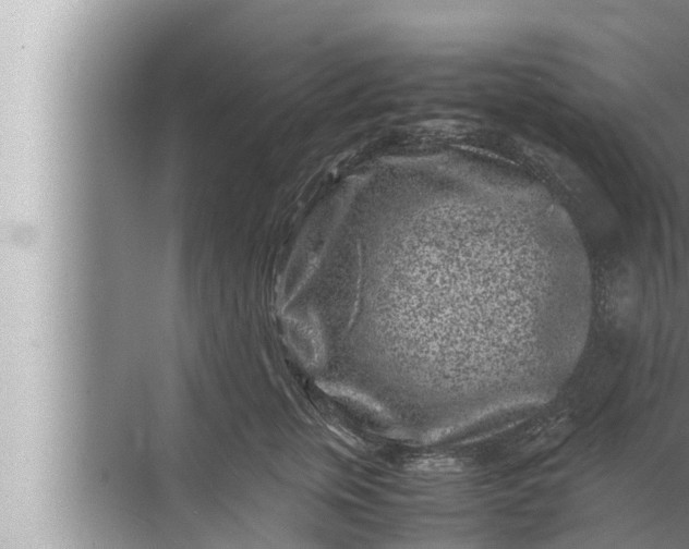 X0000072500759200607290105