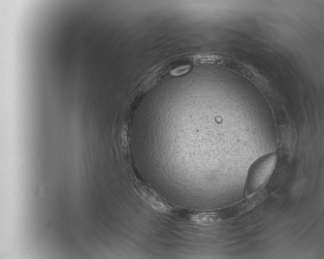 X0000072500761200607290105