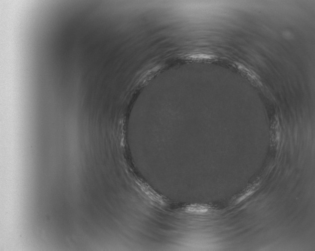 X0000072500762200607290105