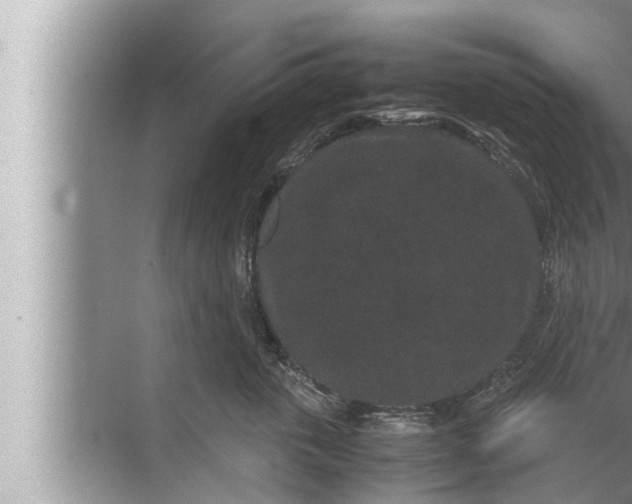 X0000072500763200607290105