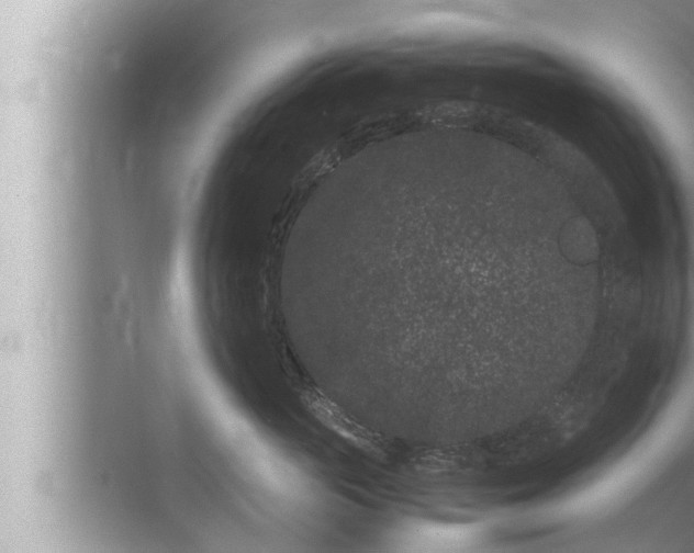 X0000072500765200607290105