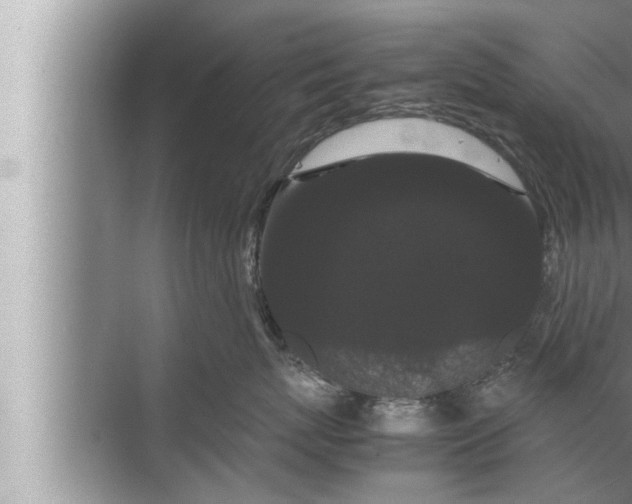 X0000072500767200607290105