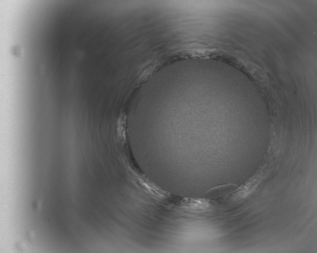 X0000072500768200607290105