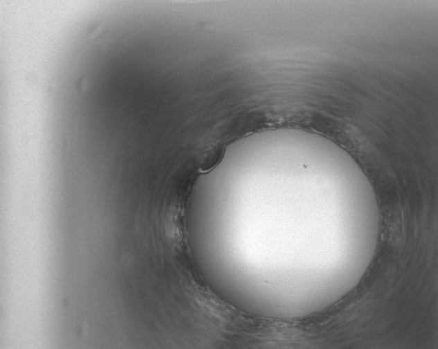 X0000072500770200607290105