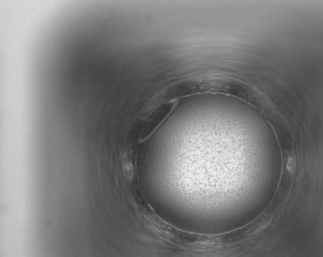 X0000072500771200607290105