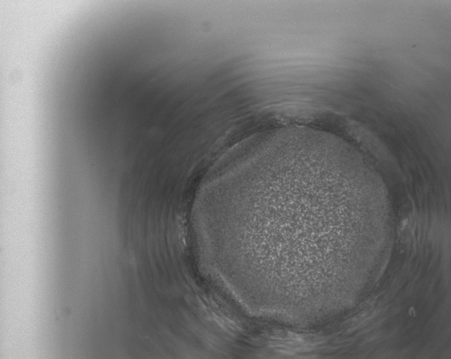 X0000072500772200607290105