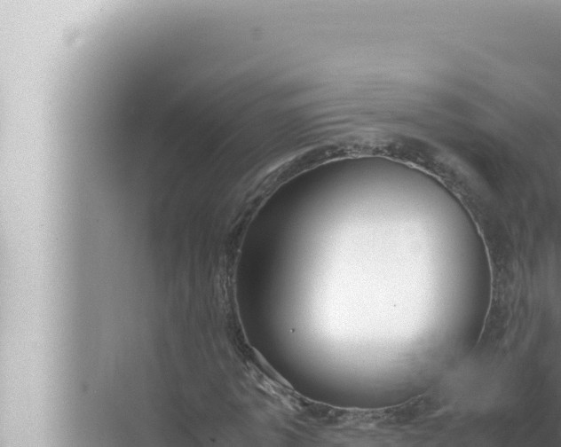 X0000072500773200607290105