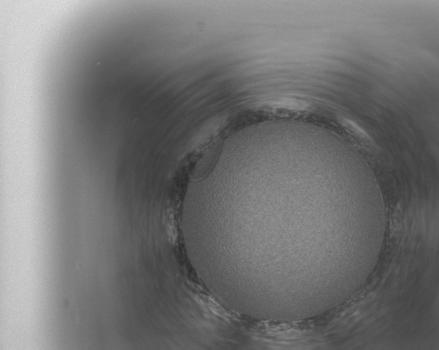 X0000072500774200607290105