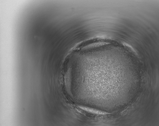 X0000072500776200607290104