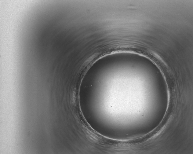 X0000072500777200607290104