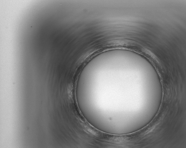 X0000072500778200607290104