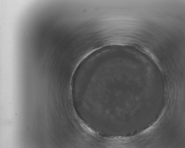 X0000072500779200607290104