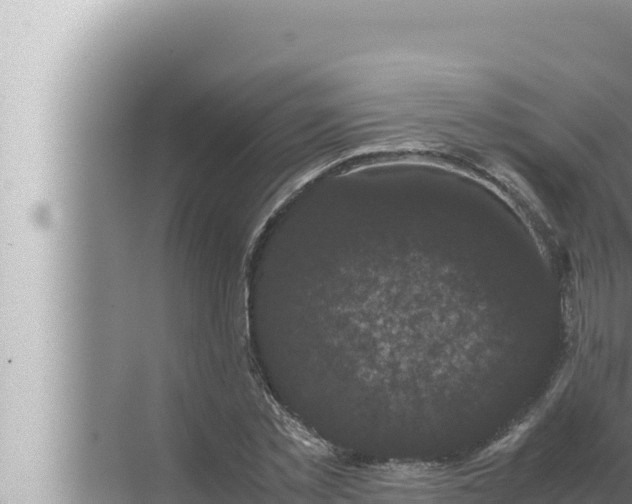 X0000072500781200607290104