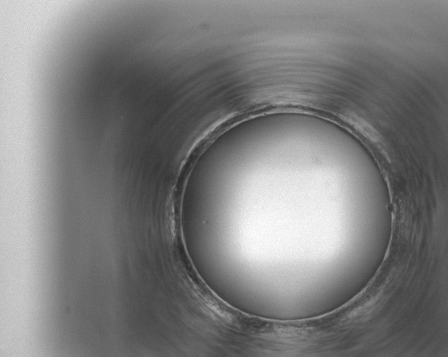 X0000072500782200607290104