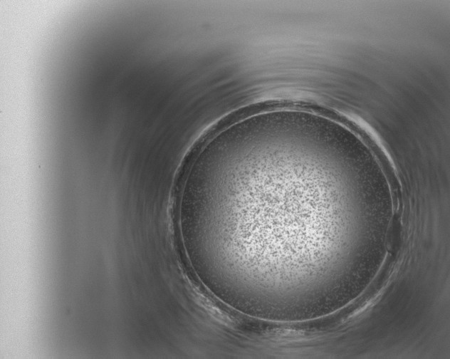 X0000072500783200607290104