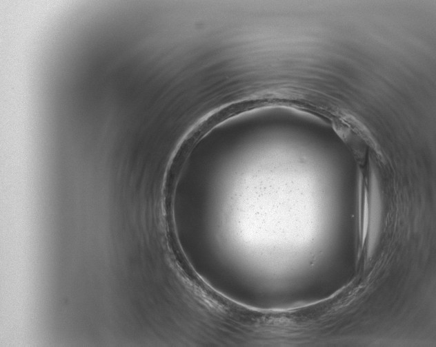 X0000072500784200607290104