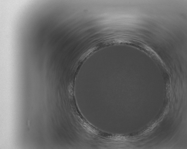 X0000072500785200607290104