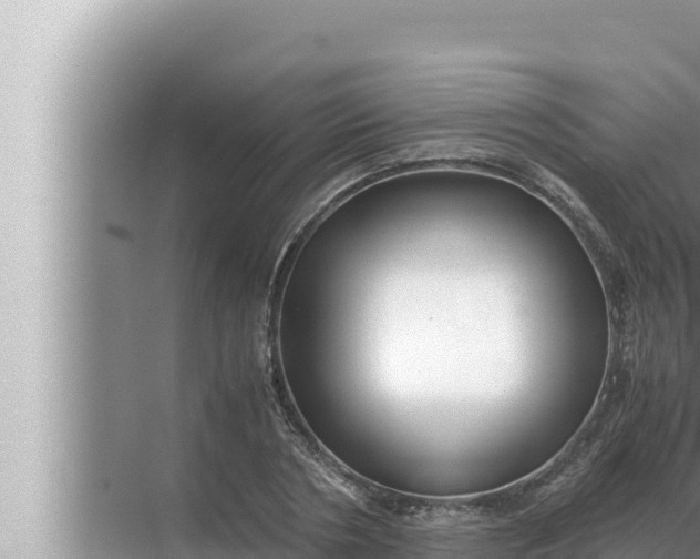 X0000072500786200607290104