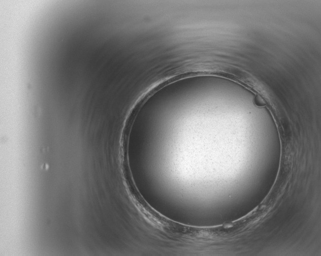 X0000072500787200607290104