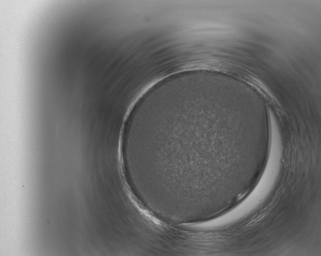 X0000072500788200607290104