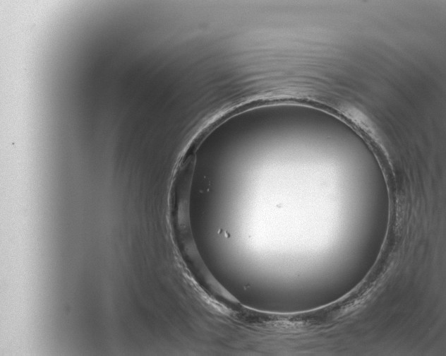 X0000072500789200607290104