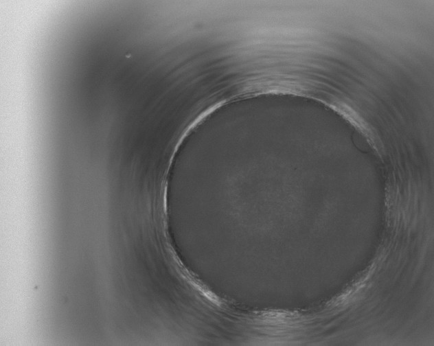 X0000072500790200607290104