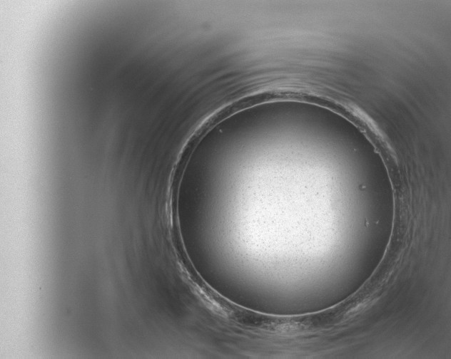 X0000072500791200607290104