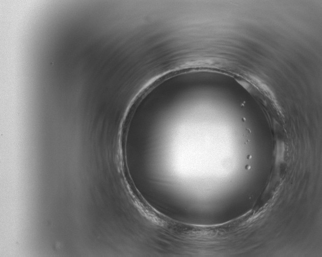 X0000072500792200607290104