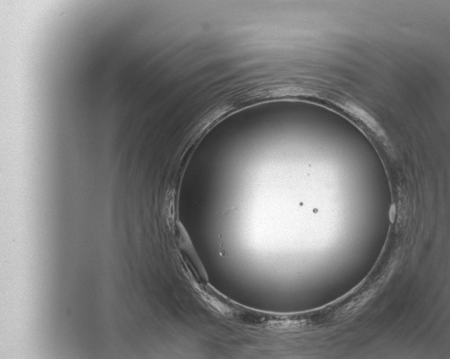 X0000072500793200607290104