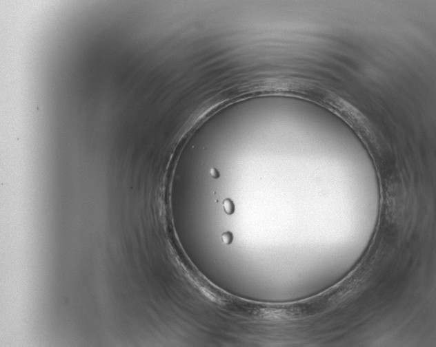 X0000072500794200607290104