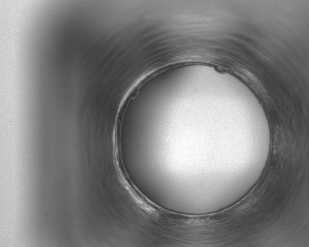 X0000072500796200607290104